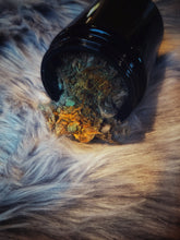 Load image into Gallery viewer, Lords of the Necropolis