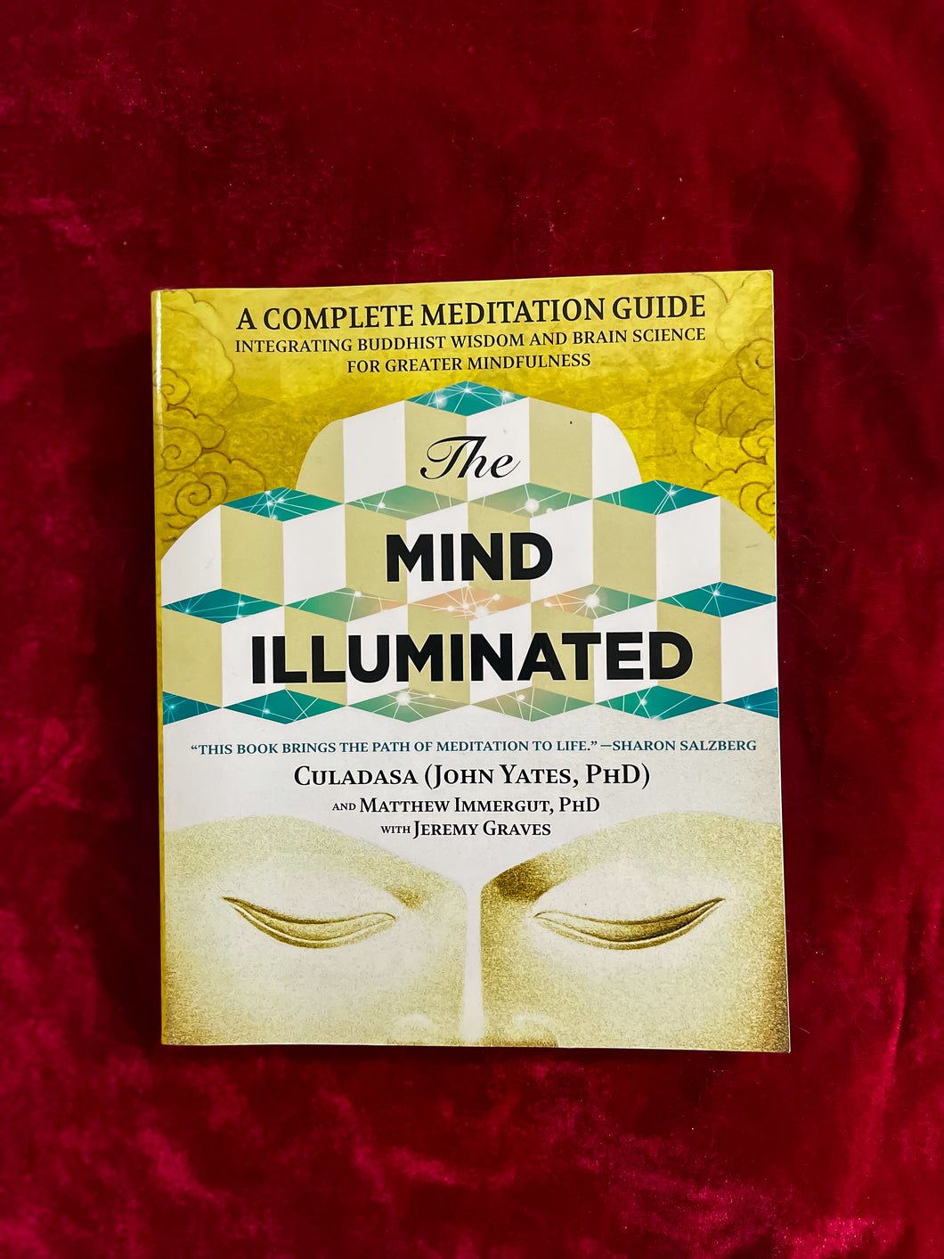 The Mind Illuminated: A Complete Meditation Guide Integrating Buddhist Wisdom and Brain Science for Greater